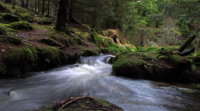 Månedens bilde november