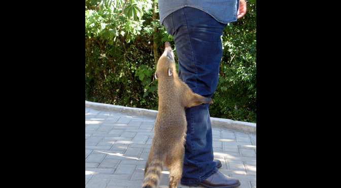 Månedens bilde januar