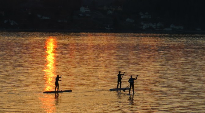 Månedens bilde april