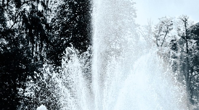 Månedens bilde september