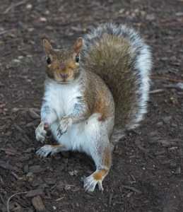 Bjørn Aaslie - Whats-up!