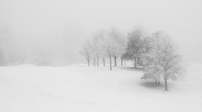 MÅNEDENS BILDE FEBRUAR