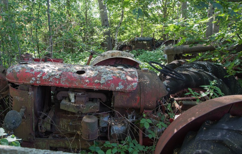 Halvor Roxrud- Skogsmaskiner