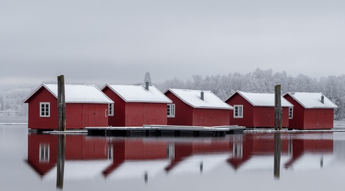 Månedens bilde – februar