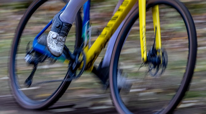 MÅNEDENS BILDE FEBRUAR