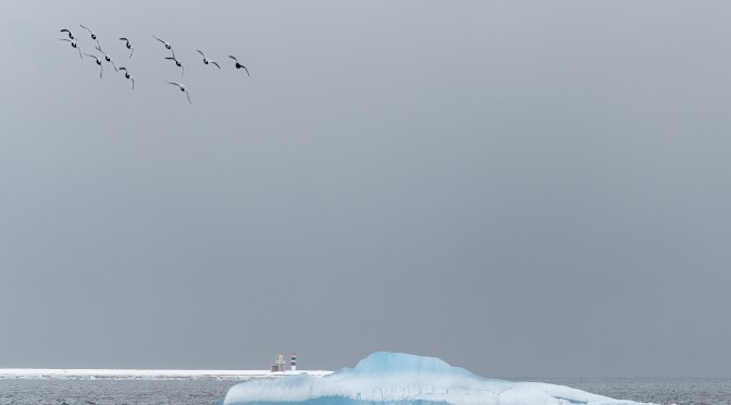 MÅNEDENSBILDE NOVEMBER