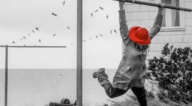 MÅNEDENSBILDE FEBRUAR